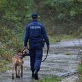 Kod Jaske švercao 17 migranata: Bježao je policiji pa se zabio u stablo. Vozača pronašli mrtvog