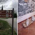 Tražili drogu, našli amfore: U pretresu u Cavtatu našli rijetke amfore, jedna je jedinstvena