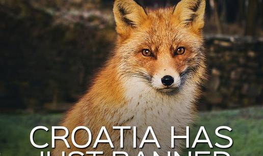 Peta na 'fejsu' o zabrani uzgoja životinja za krzno u Hrvatskoj