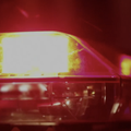 Londonskoj policiji je narušen imidž, otpuštaju policajace zbog silovanja, homofobnih ispada..