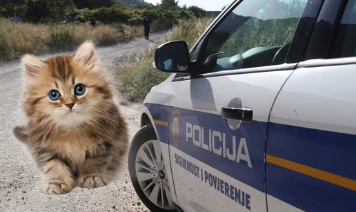 'Ubio je mačića, to je gnjusno! Više ne radi u mom restoranu'