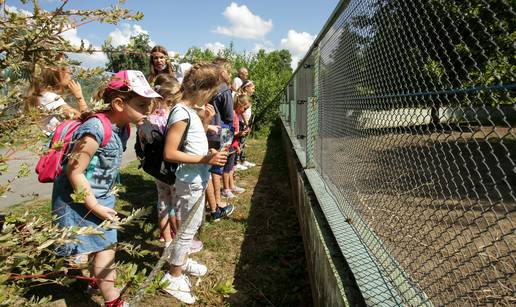 Mali Osječani praznike provode u Zoološkom vrtu i uživaju učeći o zmijama, devama i ribama