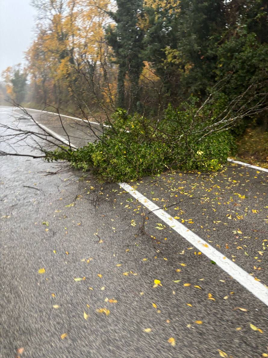 VIDEO Kiša i olujni vjetar kod Drniša: 'Na cestu je palo stablo'
