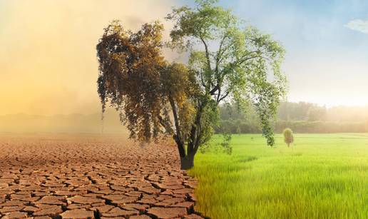 Evo kako klimatske promjene utječu na svakodnevni život